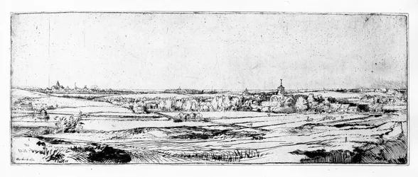 El Campo del Pesador de Oro cerca de Haarlem, 1651